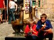 dordogne_20.jpg 41KB