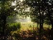 dordogne_6.jpg 50KB