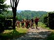 dordogne_8.jpg 38KB